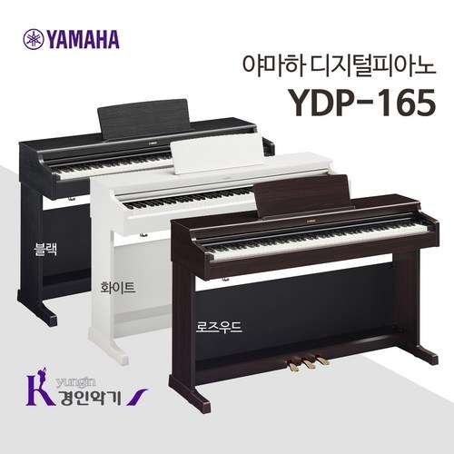 ydp165-추천